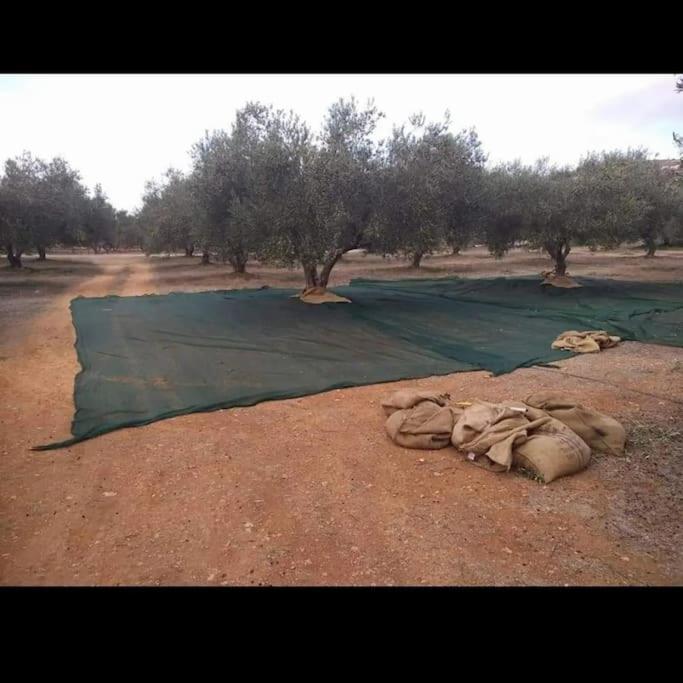 Olive Grove Cottage Skalani Knosos Экстерьер фото