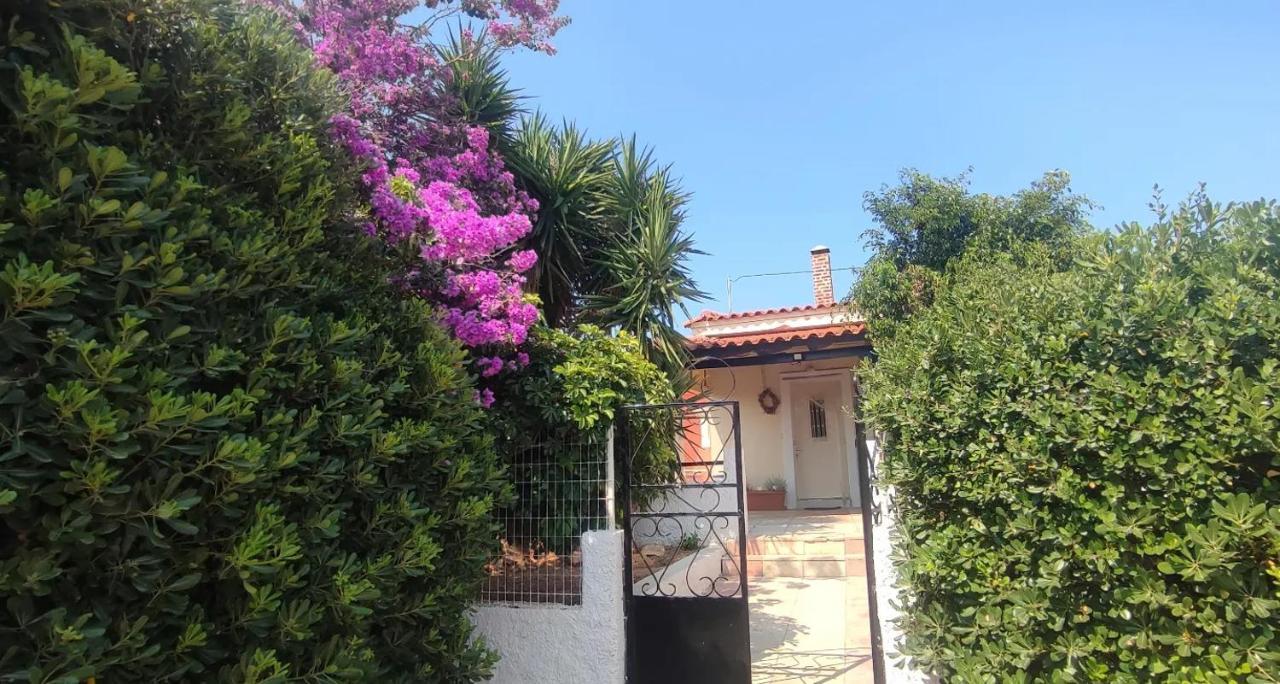Olive Grove Cottage Skalani Knosos Экстерьер фото